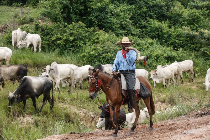  <div class='credito_fotos'>Foto: RODOLFO OLIVEIRA / ARQUIVO AG. PARÁ   |   <a href='/midias/2021/originais/10117_559a63f9-41f6-6791-1eff-8733c9450441.jpg' download><i class='fa-solid fa-download'></i> Download</a></div>