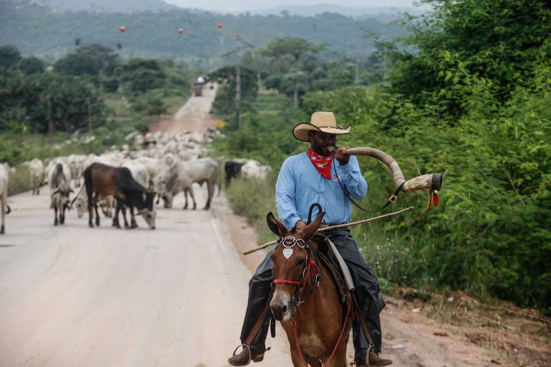  <div class='credito_fotos'>Foto: RODOLFO OLIVEIRA / ARQUIVO AG. PARÁ   |   <a href='/midias/2021/originais/10117_70c4b1cd-15a5-1eb7-803f-54bad7cf3f10.jpg' download><i class='fa-solid fa-download'></i> Download</a></div>