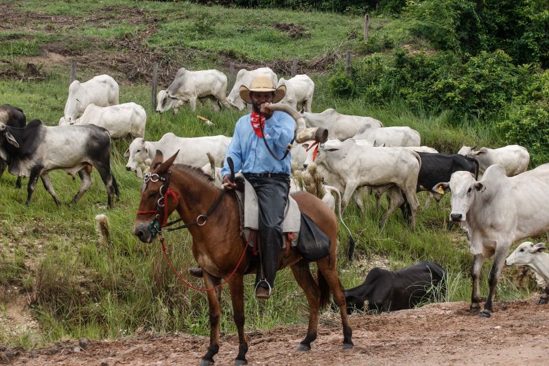  <div class='credito_fotos'>Foto: RODOLFO OLIVEIRA / ARQUIVO AG. PARÁ   |   <a href='/midias/2021/originais/10117_94736924-d517-4645-03b3-54e3dad258cd.jpg' download><i class='fa-solid fa-download'></i> Download</a></div>