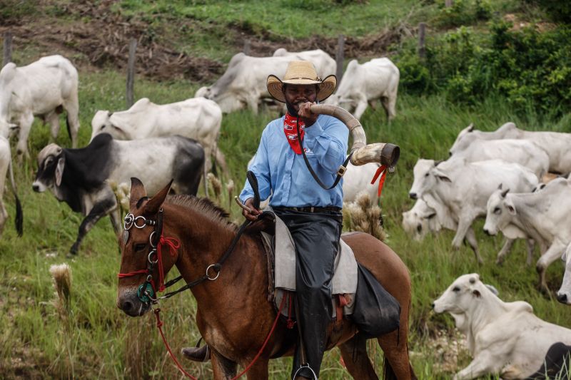  <div class='credito_fotos'>Foto: RODOLFO OLIVEIRA / ARQUIVO AG. PARÁ   |   <a href='/midias/2021/originais/10117_c985354b-542f-4d51-72e4-36bea8529e19.jpg' download><i class='fa-solid fa-download'></i> Download</a></div>