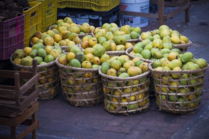 Mercado do Ver-o-Peso, Belém <div class='credito_fotos'>Foto: Pedro Guerreiro / Ag. Pará   |   <a href='/midias/2021/originais/10181_f1dd8ce3-d2f9-e722-308b-4dfbe2d8b2eb.jpg' download><i class='fa-solid fa-download'></i> Download</a></div>