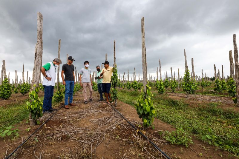  <div class='credito_fotos'>Foto: Marco Santos / Ag. Pará   |   <a href='/midias/2021/originais/10200_778d6295-edb3-ffb6-2aac-f110607b0451.jpg' download><i class='fa-solid fa-download'></i> Download</a></div>