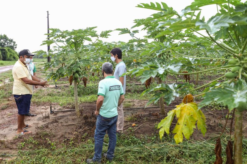  <div class='credito_fotos'>Foto: Marco Santos / Ag. Pará   |   <a href='/midias/2021/originais/10200_8a5d7382-2c1d-4b99-6ce0-27b7531f7473.jpg' download><i class='fa-solid fa-download'></i> Download</a></div>