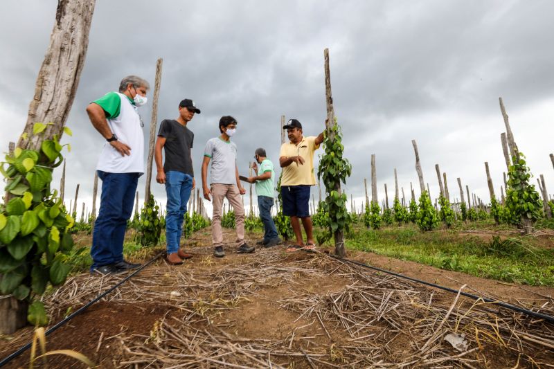  <div class='credito_fotos'>Foto: Marco Santos / Ag. Pará   |   <a href='/midias/2021/originais/10200_b76d5f20-fea6-b36b-a120-e3589bc7acdc.jpg' download><i class='fa-solid fa-download'></i> Download</a></div>