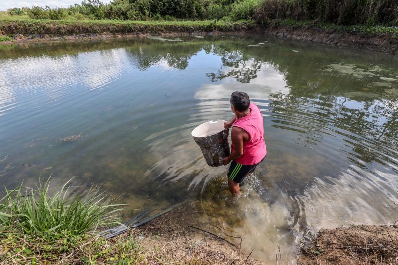  <div class='credito_fotos'>Foto: Marco Santos / Ag. Pará   |   <a href='/midias/2021/originais/10213_10d7ca69-4c4b-694d-a958-04293d9dd5b4.jpg' download><i class='fa-solid fa-download'></i> Download</a></div>