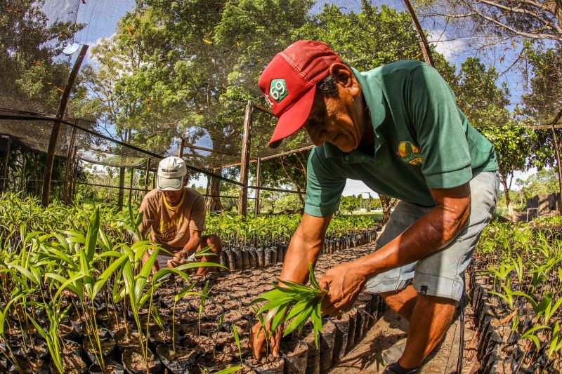  <div class='credito_fotos'>Foto: Marco Santos / Ag. Pará   |   <a href='/midias/2021/originais/10213_3a2e2ad3-2e3d-f190-c33f-374d4da592e2.jpg' download><i class='fa-solid fa-download'></i> Download</a></div>