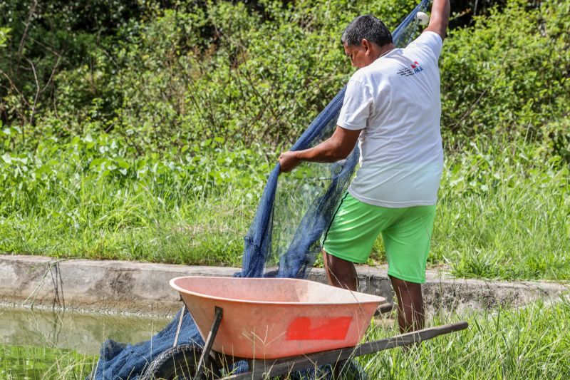  <div class='credito_fotos'>Foto: Marco Santos / Ag. Pará   |   <a href='/midias/2021/originais/10213_8b4a5071-923c-4bab-3c16-dde7cd4cbd0d.jpg' download><i class='fa-solid fa-download'></i> Download</a></div>