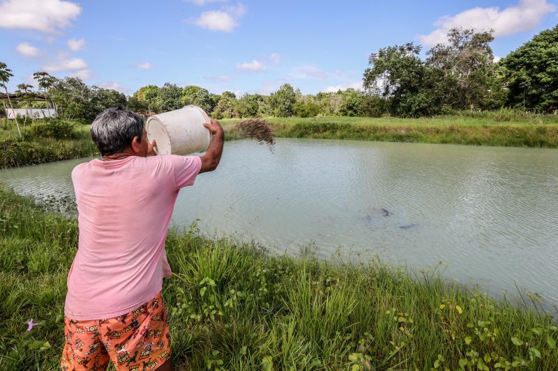  <div class='credito_fotos'>Foto: Marco Santos / Ag. Pará   |   <a href='/midias/2021/originais/10213_a73b603d-c6c0-cfde-0a7f-c3b5196095a5.jpg' download><i class='fa-solid fa-download'></i> Download</a></div>