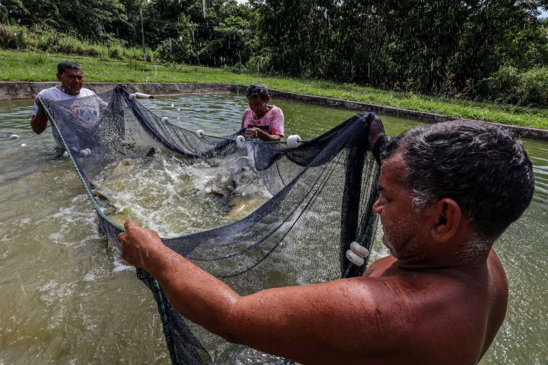  <div class='credito_fotos'>Foto: Marco Santos / Ag. Pará   |   <a href='/midias/2021/originais/10213_e134061d-ffd5-0a40-910f-f4d4e1d78249.jpg' download><i class='fa-solid fa-download'></i> Download</a></div>