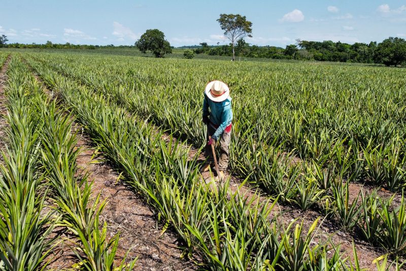  <div class='credito_fotos'>Foto: Marco Santos / Ag. Pará   |   <a href='/midias/2021/originais/10258_fb4e3f1d-6640-2b72-f7b3-a99100bd8777.jpg' download><i class='fa-solid fa-download'></i> Download</a></div>