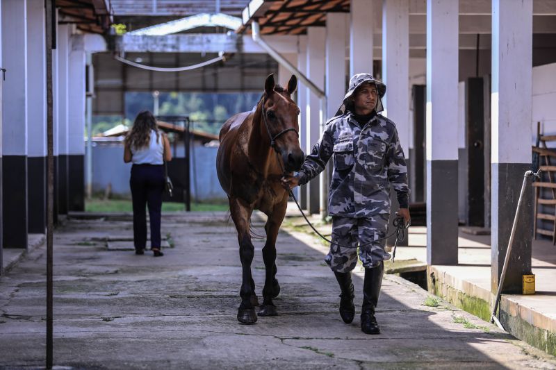 Regimento da polícia montada-JADER PAES/AGPARA <div class='credito_fotos'>Foto: Jader Paes / Agência Pará   |   <a href='/midias/2021/originais/10286_ec421824-e84c-d1a8-658d-c1aa05939726.jpg' download><i class='fa-solid fa-download'></i> Download</a></div>