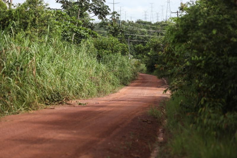  <div class='credito_fotos'>Foto: Rodrigo Pinheiro / Ag.Pará   |   <a href='/midias/2021/originais/11503_adf66b38-f707-38d9-a4cd-500d60aa07e8.jpg' download><i class='fa-solid fa-download'></i> Download</a></div>