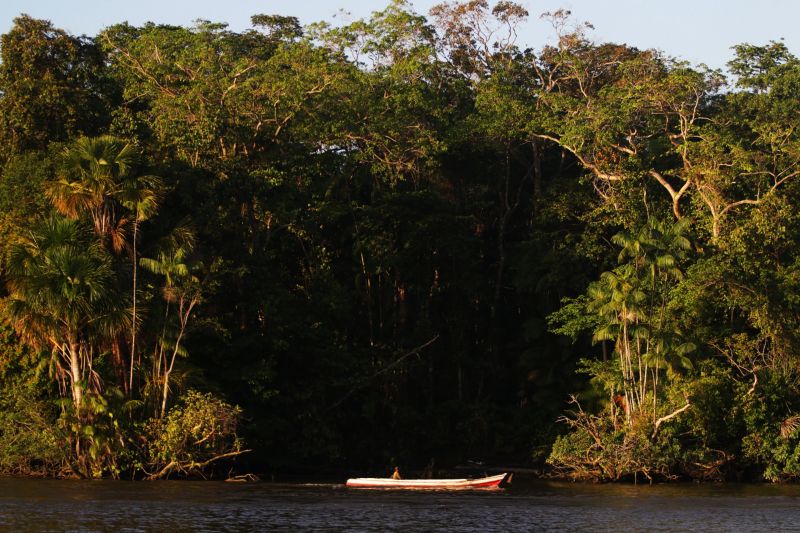  <div class='credito_fotos'>Foto: Bruno Cecim / Ag.Pará   |   <a href='/midias/2021/originais/7175_55f83cb3-deb3-64ff-c3c3-f8fe4fd06c1b.jpg' download><i class='fa-solid fa-download'></i> Download</a></div>