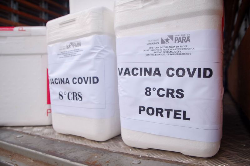 Vacinas para combater o Covid19 chegam a Belém para serem distribuídas pelos quatro cantos do Estado. <div class='credito_fotos'>Foto: Pedro Guerreiro / Ag. Pará   |   <a href='/midias/2021/originais/7202_5517dfe1-a4ba-d55a-879d-ddda0d2a2120.jpg' download><i class='fa-solid fa-download'></i> Download</a></div>