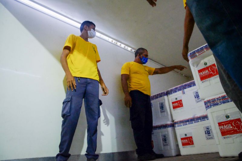 Vacinas para combater o Covid19 chegam a Belém para serem distribuídas pelos quatro cantos do Estado. <div class='credito_fotos'>Foto: Pedro Guerreiro / Ag. Pará   |   <a href='/midias/2021/originais/7202_66eb4e83-e703-10e4-e1aa-f3ec7b44dbe0.jpg' download><i class='fa-solid fa-download'></i> Download</a></div>