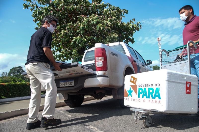 As 7.800 de vacina chegaram ao município de Santarém, na manhã desta terça-feira (2). Essa é a primeira parte de um total de 11.503 doses que serão enviadas pelo Governo do Estado para as regiões do Baixo Amazonas e Tocantins, para vacinar exclusivamente, idosos de 80 anos para mais.  <div class='credito_fotos'>Foto: Pedro Guerreiro / Ag. Pará   |   <a href='/midias/2021/originais/7267_1f374357-2213-38e1-3a5e-95b43a8e9c84.jpg' download><i class='fa-solid fa-download'></i> Download</a></div>