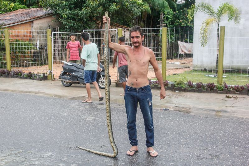  <div class='credito_fotos'>Foto: Marcelo Seabra / Ag. Pará   |   <a href='/midias/2021/originais/7326_498ddfc6-692d-10f9-b133-4f05ca334dd0.jpg' download><i class='fa-solid fa-download'></i> Download</a></div>