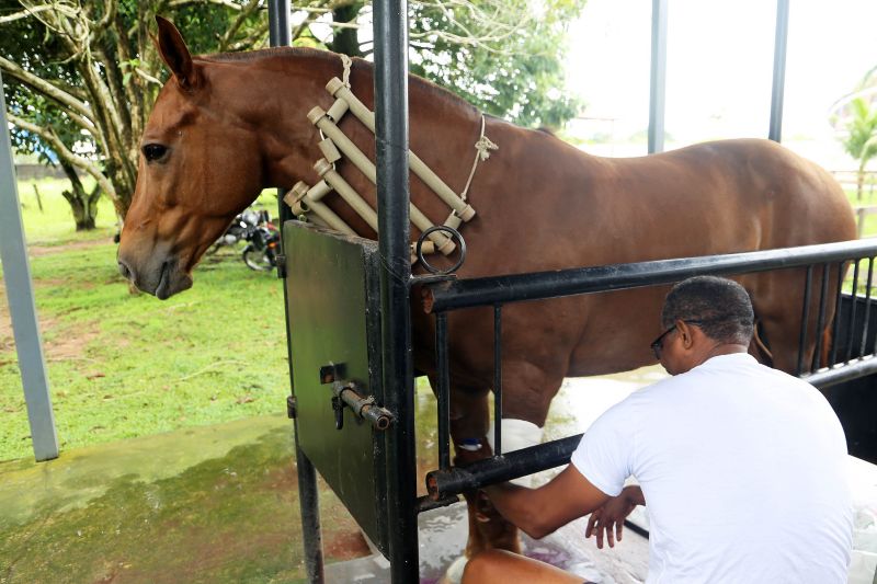  <div class='credito_fotos'>Foto: Bruno Cecim / Ag.Pará   |   <a href='/midias/2021/originais/7337_1a10a4f8-3f0f-b952-2a7c-baa58f8878a9.jpg' download><i class='fa-solid fa-download'></i> Download</a></div>