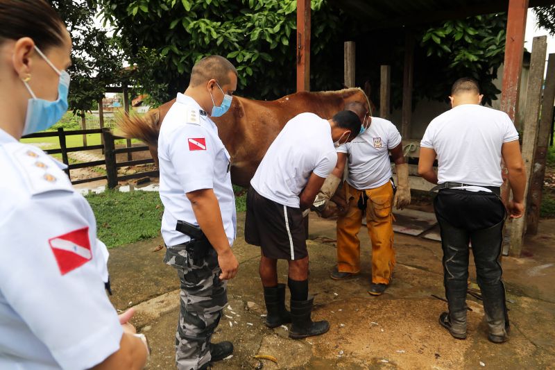  <div class='credito_fotos'>Foto: Bruno Cecim / Ag.Pará   |   <a href='/midias/2021/originais/7337_f624f40d-aa72-108c-893a-19fb8d17b24e.jpg' download><i class='fa-solid fa-download'></i> Download</a></div>