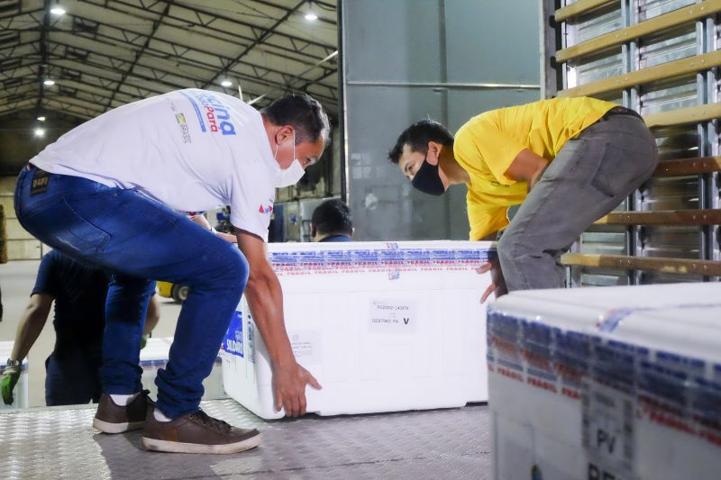 Pará recebe mais 67 mil doses de vacinas CoronaVac/Sinovac <div class='credito_fotos'>Foto: Pedro Guerreiro / Ag. Pará   |   <a href='/midias/2021/originais/7378_4f2ccc52-8edd-9c72-be6d-01a2c9aac369.jpg' download><i class='fa-solid fa-download'></i> Download</a></div>