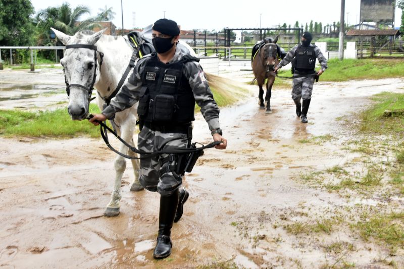 BelÃ©m, ParÃ¡, Brasil. DIA DO ANIMAL, BATALHÃƒO DA CAVALARIA - 12/03/2021 <div class='credito_fotos'>Foto: Ricardo Amanajás / Ag. Pará   |   <a href='/midias/2021/originais/7426_1cc5d309-179b-ea26-28f9-de04a6c37bfc.jpg' download><i class='fa-solid fa-download'></i> Download</a></div>