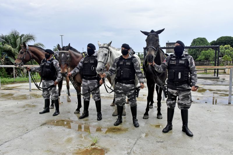 BelÃ©m, ParÃ¡, Brasil. DIA DO ANIMAL, BATALHÃƒO DA CAVALARIA - 12/03/2021 <div class='credito_fotos'>Foto: Ricardo Amanajás / Ag. Pará   |   <a href='/midias/2021/originais/7426_25779084-b219-126c-ad19-e2e74da7a13b.jpg' download><i class='fa-solid fa-download'></i> Download</a></div>