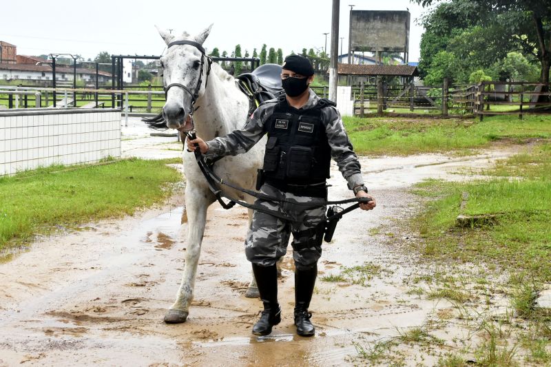 BelÃ©m, ParÃ¡, Brasil. DIA DO ANIMAL, BATALHÃƒO DA CAVALARIA - 12/03/2021 <div class='credito_fotos'>Foto: Ricardo Amanajás / Ag. Pará   |   <a href='/midias/2021/originais/7426_50e4a0fb-ee51-7d92-fa87-b99a1ad4cbfd.jpg' download><i class='fa-solid fa-download'></i> Download</a></div>