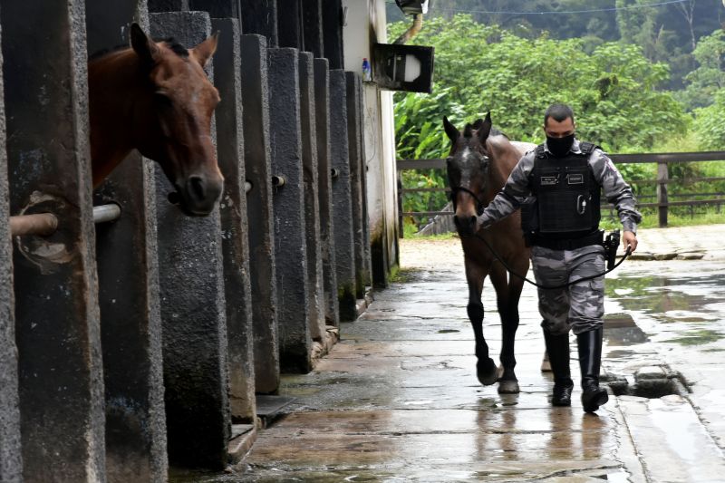 BelÃ©m, ParÃ¡, Brasil. DIA DO ANIMAL, BATALHÃƒO DA CAVALARIA - 12/03/2021 <div class='credito_fotos'>Foto: Ricardo Amanajás / Ag. Pará   |   <a href='/midias/2021/originais/7426_567e471f-3c38-8145-4f81-73723c5a10e7.jpg' download><i class='fa-solid fa-download'></i> Download</a></div>