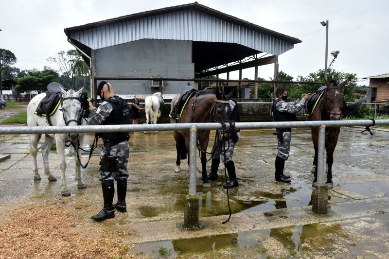 BelÃ©m, ParÃ¡, Brasil. DIA DO ANIMAL, BATALHÃƒO DA CAVALARIA - 12/03/2021 <div class='credito_fotos'>Foto: Ricardo Amanajás / Ag. Pará   |   <a href='/midias/2021/originais/7426_5ab4293b-4512-b59b-232b-b5095d5e8623.jpg' download><i class='fa-solid fa-download'></i> Download</a></div>