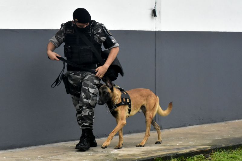 BelÃ©m, ParÃ¡, Brasil. DIA DO ANIMAL, BATALHÃƒO COM CÃƒES - 12/03/2021 <div class='credito_fotos'>Foto: Ricardo Amanajás / Ag. Pará   |   <a href='/midias/2021/originais/7426_618bc638-0721-db45-84ca-bd68f0a141c1.jpg' download><i class='fa-solid fa-download'></i> Download</a></div>