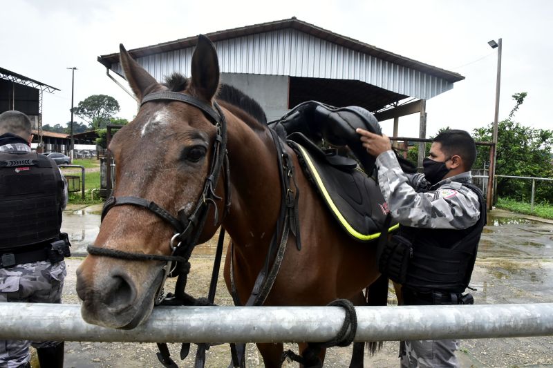 BelÃ©m, ParÃ¡, Brasil. DIA DO ANIMAL, BATALHÃƒO DA CAVALARIA - 12/03/2021 <div class='credito_fotos'>Foto: Ricardo Amanajás / Ag. Pará   |   <a href='/midias/2021/originais/7426_648ab0a4-1b39-1c2f-1a11-8c501439f421.jpg' download><i class='fa-solid fa-download'></i> Download</a></div>