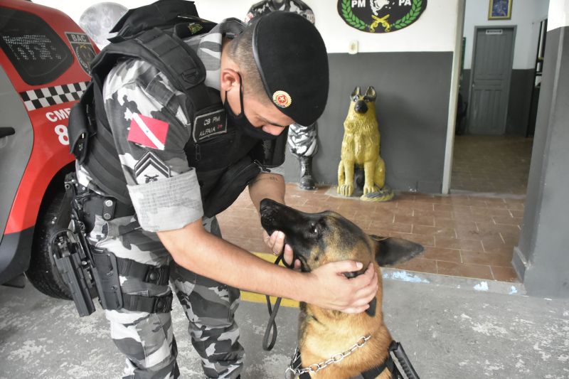 BelÃ©m, ParÃ¡, Brasil. DIA DO ANIMAL, BATALHÃƒO COM CÃƒES - 12/03/2021 <div class='credito_fotos'>Foto: Ricardo Amanajás / Ag. Pará   |   <a href='/midias/2021/originais/7426_6b46d8b3-bb72-9078-d1f5-9561e97fe9c5.jpg' download><i class='fa-solid fa-download'></i> Download</a></div>