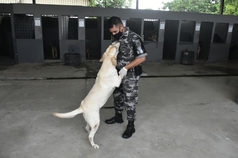 BelÃ©m, ParÃ¡, Brasil. DIA DO ANIMAL, BATALHÃƒO COM CÃƒES - 12/03/2021 <div class='credito_fotos'>Foto: Ricardo Amanajás / Ag. Pará   |   <a href='/midias/2021/originais/7426_6bd06a32-fd88-f48c-0278-c4d2c5bd9e95.jpg' download><i class='fa-solid fa-download'></i> Download</a></div>