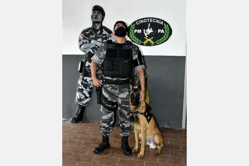 BelÃ©m, ParÃ¡, Brasil. DIA DO ANIMAL, BATALHÃƒO COM CÃƒES - 12/03/2021 <div class='credito_fotos'>Foto: Ricardo Amanajás / Ag. Pará   |   <a href='/midias/2021/originais/7426_70a77b8c-a82c-05e5-ccf1-ad456a26802d.jpg' download><i class='fa-solid fa-download'></i> Download</a></div>