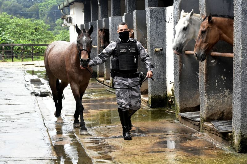 BelÃ©m, ParÃ¡, Brasil. DIA DO ANIMAL, BATALHÃƒO DA CAVALARIA - 12/03/2021 <div class='credito_fotos'>Foto: Ricardo Amanajás / Ag. Pará   |   <a href='/midias/2021/originais/7426_72cb8606-379b-c070-46d0-b3ca430377d2.jpg' download><i class='fa-solid fa-download'></i> Download</a></div>