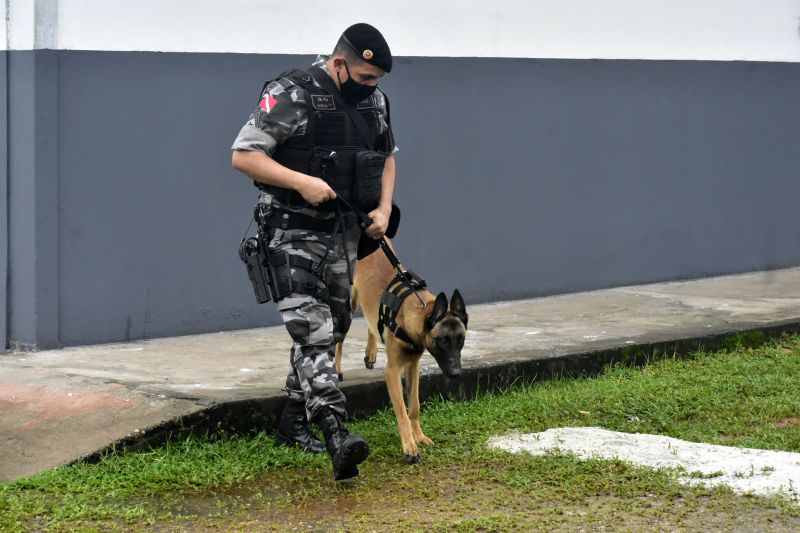 BelÃ©m, ParÃ¡, Brasil. DIA DO ANIMAL, BATALHÃƒO COM CÃƒES - 12/03/2021 <div class='credito_fotos'>Foto: Ricardo Amanajás / Ag. Pará   |   <a href='/midias/2021/originais/7426_88bd2680-8d8e-1396-3bbf-2ef345933581.jpg' download><i class='fa-solid fa-download'></i> Download</a></div>