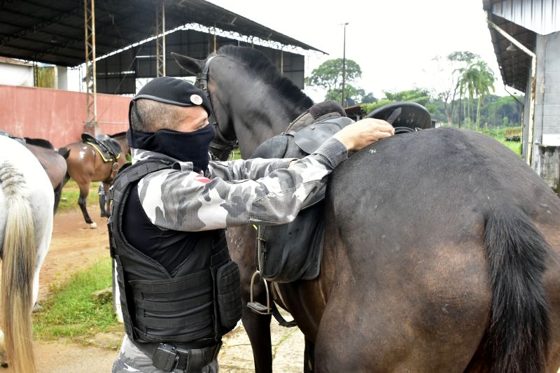 BelÃ©m, ParÃ¡, Brasil. DIA DO ANIMAL, BATALHÃƒO DA CAVALARIA - 12/03/2021 <div class='credito_fotos'>Foto: Ricardo Amanajás / Ag. Pará   |   <a href='/midias/2021/originais/7426_9685f2b6-421f-cb02-0be2-18046793432b.jpg' download><i class='fa-solid fa-download'></i> Download</a></div>