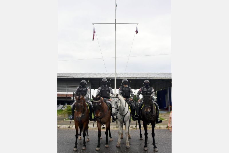 BelÃ©m, ParÃ¡, Brasil. DIA DO ANIMAL, BATALHÃƒO DA CAVALARIA - 12/03/2021 <div class='credito_fotos'>Foto: Ricardo Amanajás / Ag. Pará   |   <a href='/midias/2021/originais/7426_9f5c60bb-24ee-c76b-bba2-cca90c4dc772.jpg' download><i class='fa-solid fa-download'></i> Download</a></div>