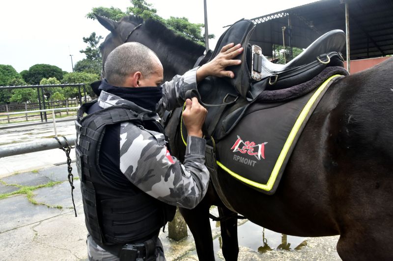 BelÃ©m, ParÃ¡, Brasil. DIA DO ANIMAL, BATALHÃƒO DA CAVALARIA - 12/03/2021 <div class='credito_fotos'>Foto: Ricardo Amanajás / Ag. Pará   |   <a href='/midias/2021/originais/7426_aa1a4021-c54d-0d16-1176-a9e0037aebb3.jpg' download><i class='fa-solid fa-download'></i> Download</a></div>