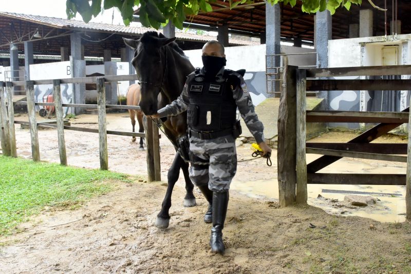 BelÃ©m, ParÃ¡, Brasil. DIA DO ANIMAL, BATALHÃƒO DA CAVALARIA - 12/03/2021 <div class='credito_fotos'>Foto: Ricardo Amanajás / Ag. Pará   |   <a href='/midias/2021/originais/7426_d11aec40-d4e5-55a4-3a48-822956ac894c.jpg' download><i class='fa-solid fa-download'></i> Download</a></div>