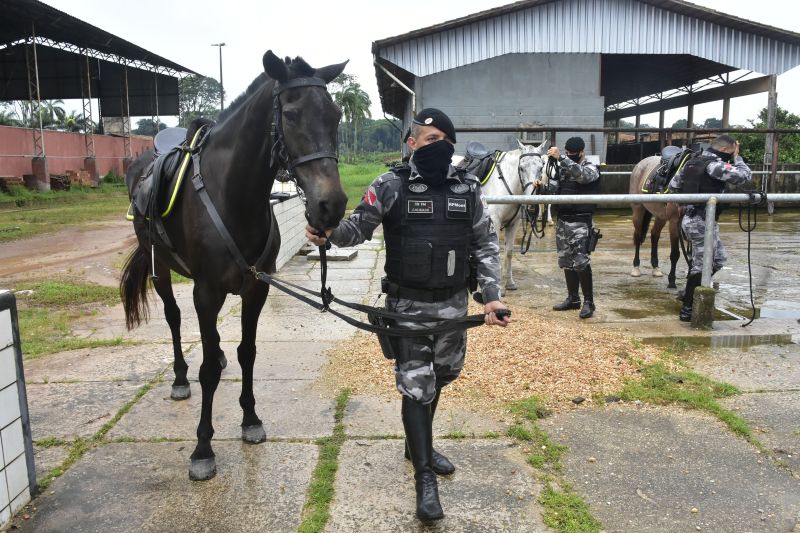 BelÃ©m, ParÃ¡, Brasil. DIA DO ANIMAL, BATALHÃƒO DA CAVALARIA - 12/03/2021 <div class='credito_fotos'>Foto: Ricardo Amanajás / Ag. Pará   |   <a href='/midias/2021/originais/7426_fa7f0bad-f938-7b5f-5d64-5a16bc91ffde.jpg' download><i class='fa-solid fa-download'></i> Download</a></div>