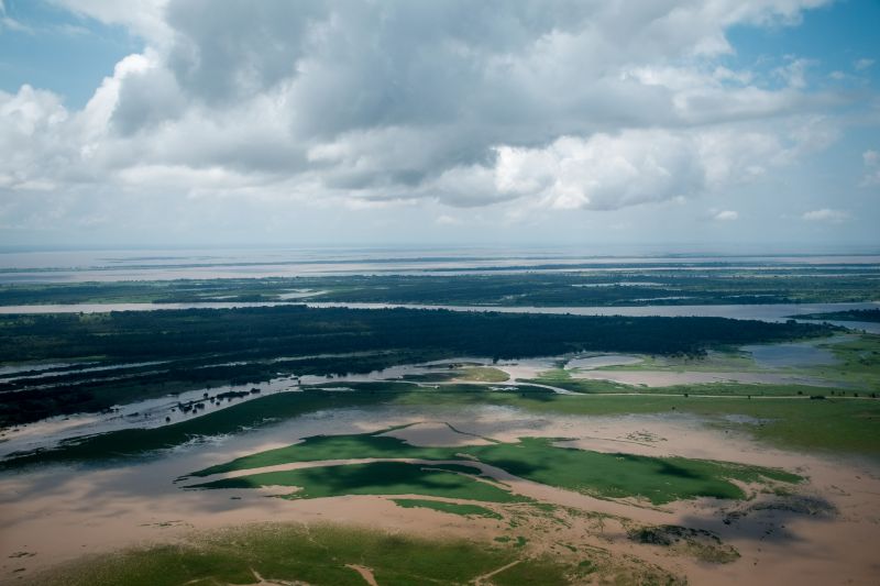 De Santarém a Proximidades de Oriximiná - PA, imagens dos campos alagados e rios. <div class='credito_fotos'>Foto: Pedro Guerreiro / Ag. Pará   |   <a href='/midias/2021/originais/7447_19ad72e3-f12b-3b1a-e956-2a14994d8b5e.jpg' download><i class='fa-solid fa-download'></i> Download</a></div>