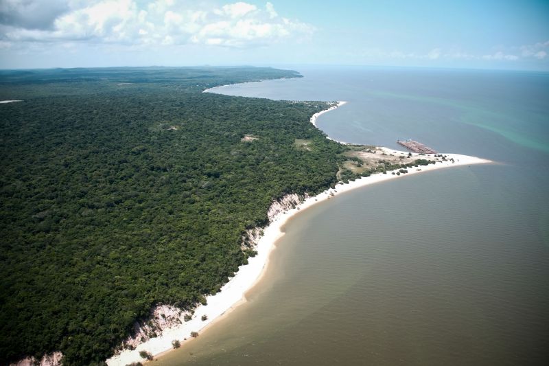 De Santarém a Proximidades de Oriximiná - PA, imagens dos campos alagados e rios. <div class='credito_fotos'>Foto: Pedro Guerreiro / Ag. Pará   |   <a href='/midias/2021/originais/7447_2e56816d-f3e2-9a1d-bc43-3f89279fb947.jpg' download><i class='fa-solid fa-download'></i> Download</a></div>