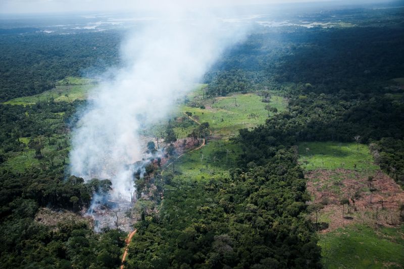 De Santarém a Proximidades de Oriximiná - PA, imagens dos campos alagados e rios. <div class='credito_fotos'>Foto: Pedro Guerreiro / Ag. Pará   |   <a href='/midias/2021/originais/7447_36121eb8-4da8-0585-f413-2448fdbbc906.jpg' download><i class='fa-solid fa-download'></i> Download</a></div>