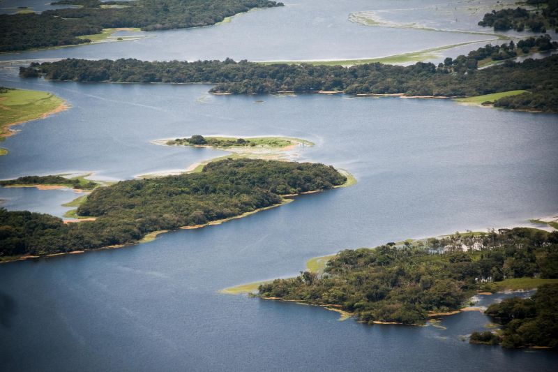 De Santarém a Proximidades de Oriximiná - PA, imagens dos campos alagados e rios. <div class='credito_fotos'>Foto: Pedro Guerreiro / Ag. Pará   |   <a href='/midias/2021/originais/7447_bac4bb85-2ecf-77ae-1392-75ef05e7354a.jpg' download><i class='fa-solid fa-download'></i> Download</a></div>