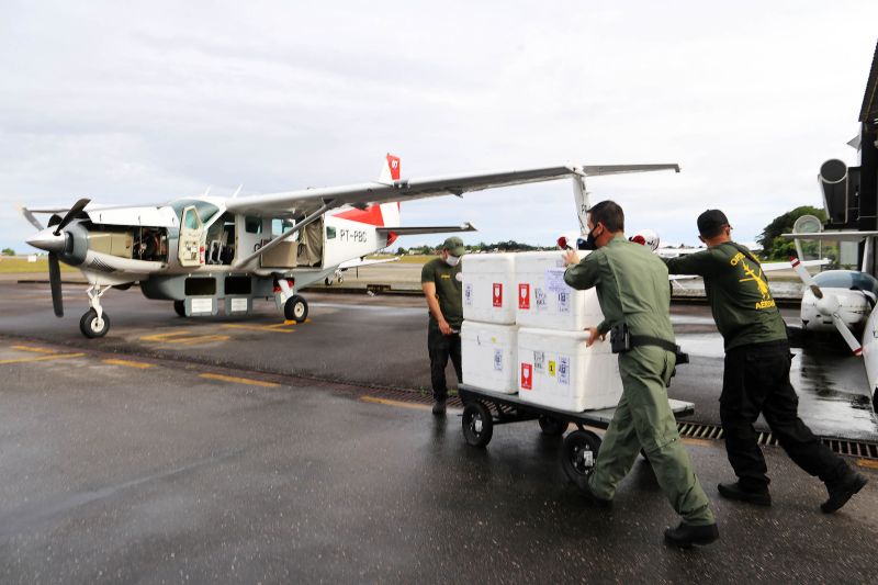 Estado distribui, de Belém, vacinas contra covid-19 para interior
 <div class='credito_fotos'>Foto: Bruno Cecim / Ag.Pará   |   <a href='/midias/2021/originais/7449_b4c9e19c-98af-497a-9131-449007f07697.jpg' download><i class='fa-solid fa-download'></i> Download</a></div>