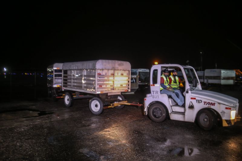 Mais uma remessa de vacinas contra a Covid-19 chega ao Pará na madrugada desta sexta-feira (2), enviada pelo Ministério da Saúde. São 234.150 doses, sendo 215.400 da CoronaVac/Sinovac, imunizante desenvolvido no Brasil pelo Instituto Butantan, e 18.750 da Oxford/AstraZeneca, produzida pela Fundação Oswaldo Cruz (Fiocruz). Esta é a 11ª remessa enviada ao Estado, que agora totaliza 1.331.090 doses recebidas. <div class='credito_fotos'>Foto: Alex Ribeiro / Ag. Pará   |   <a href='/midias/2021/originais/7510_77b899cb-4b3b-5c47-c9e2-4e6a361931d6.jpg' download><i class='fa-solid fa-download'></i> Download</a></div>