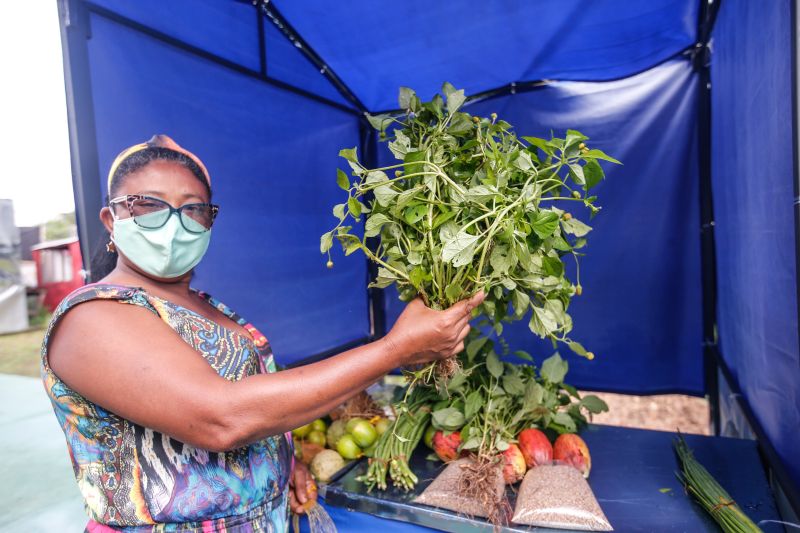 NA FOTO: agricultora Maria Raimunda Trindade, de 55 anos, <div class='credito_fotos'>Foto: Marco Santos / Ag. Pará   |   <a href='/midias/2021/originais/8570_6d0c8b61-8bc2-3a0e-cfd4-d251e2d0c528.jpg' download><i class='fa-solid fa-download'></i> Download</a></div>