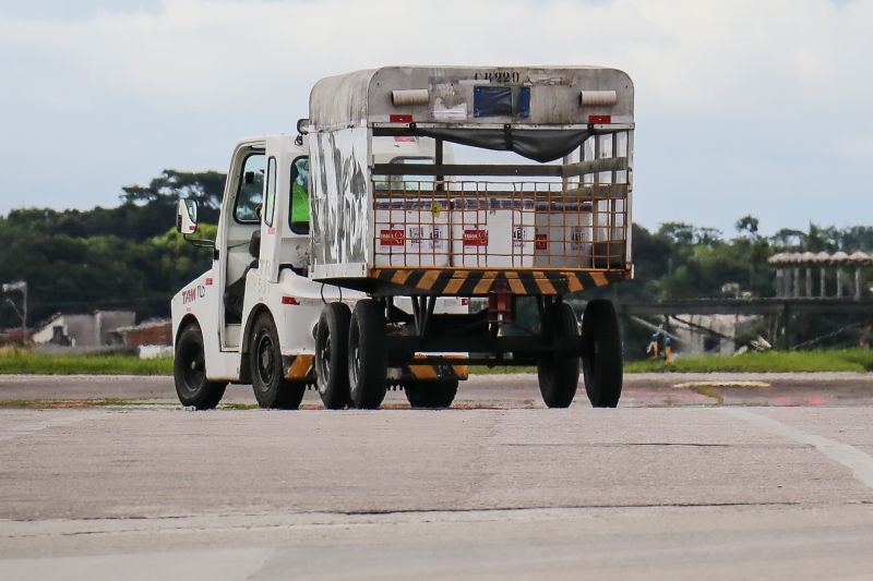  <div class='credito_fotos'>Foto: Rodrigo Pinheiro / Ag.Pará   |   <a href='/midias/2021/originais/8577_e4024223-42e1-4dfb-25fb-863536eade19.jpg' download><i class='fa-solid fa-download'></i> Download</a></div>