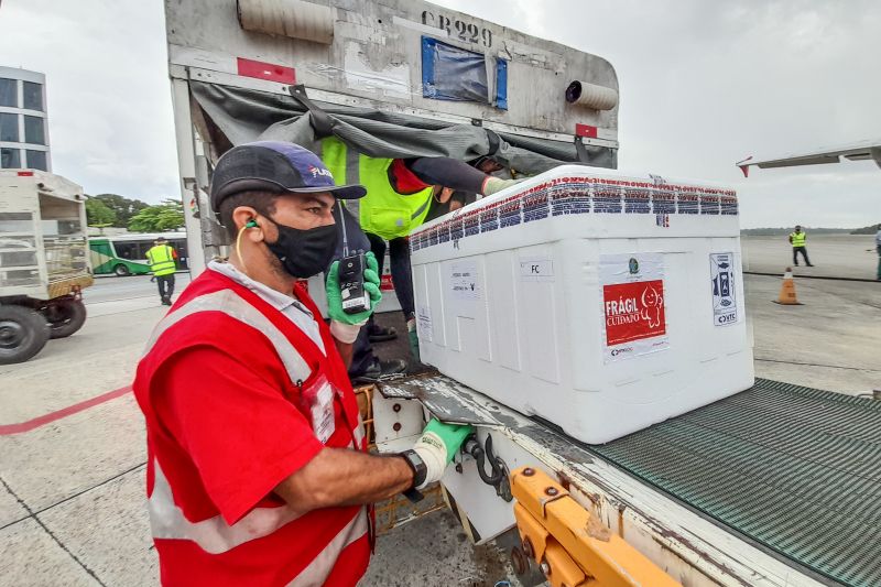 O Pará recebeu, na tarde desta segunda-feira (3), a décima sétima remessa de vacinas contra a Covid-19. Foram enviadas pelo Ministério da Saúde (MS) 14.040 doses da vacina produzida pela Pfizer em parceria com a empresa alemã BioNTech e 206.750 da Oxford/AstraZeneca, produzida pela Fundação Oswaldo Cruz (Fiocruz).

FOTO: BRUNO CECIM / AG.PARÁ <div class='credito_fotos'>Foto: Bruno Cecim / Ag.Pará   |   <a href='/midias/2021/originais/8580_8886e8fb-8793-3f28-87e6-9cf27f0cdfd9.jpg' download><i class='fa-solid fa-download'></i> Download</a></div>